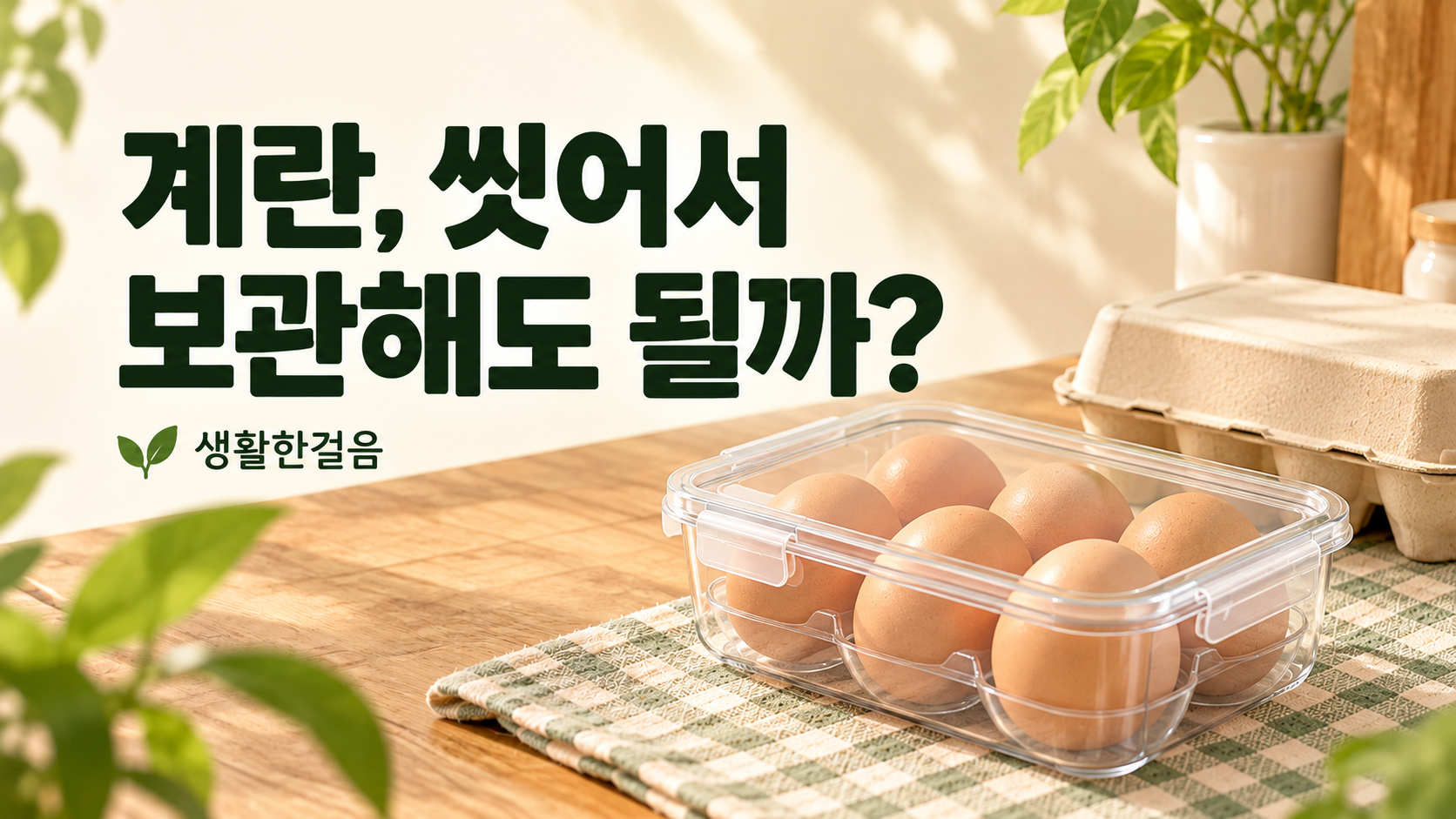 계란 씻어서 보관해도 될까? 냉장고에 넣기 전 확인할 것